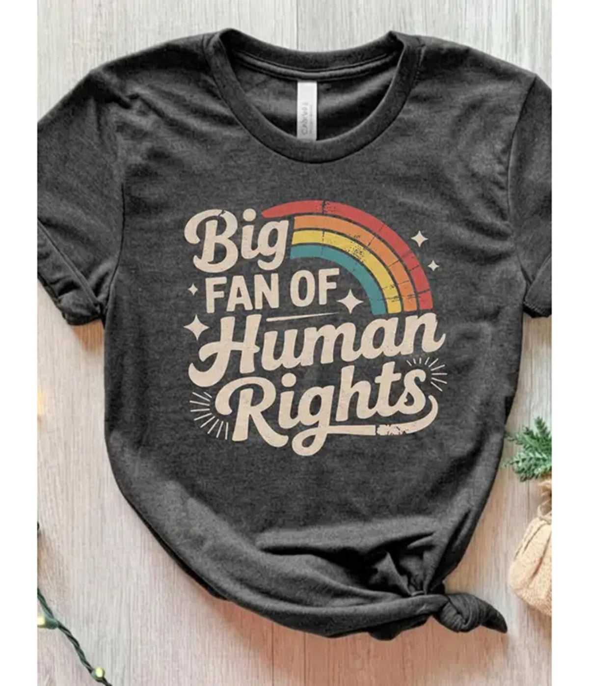 Big Fan of Human Rights Unisex Graphic Tee
