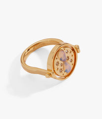 Gold Plated Harry Potter鈩?Time Turner Flip Ring